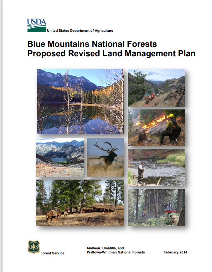 blue mountain 2014 plan